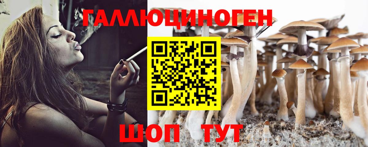 Галлюциногенные грибы Cubensis Уссурийск