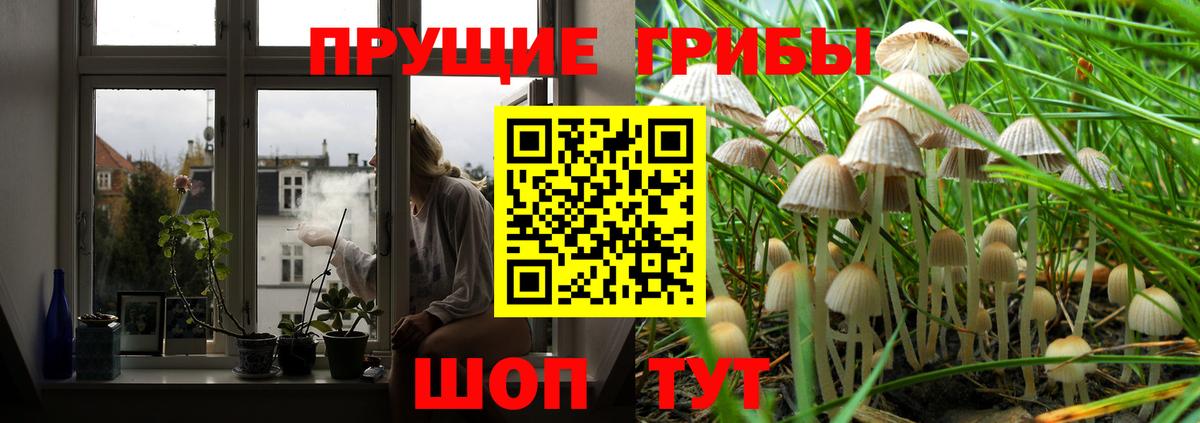 Галлюциногенные грибы Psilocybine cubensis  Вход с VPN  Уссурийск  Псилоцибиновые грибы Magic Shrooms 